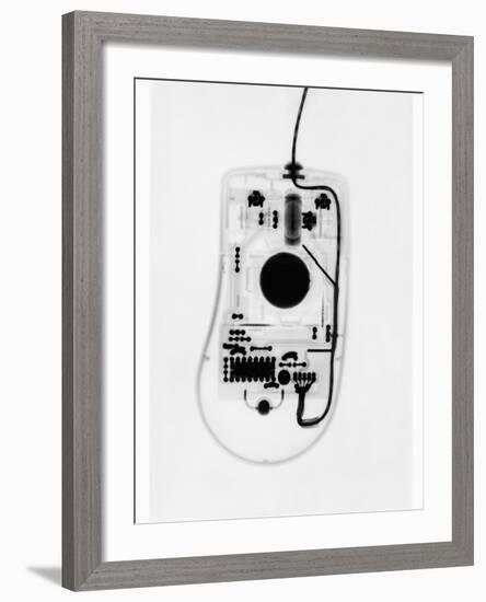 X-Ray of a Computer Mouse-Chris Rogers-Framed Photographic Print