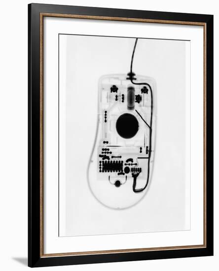 X-Ray of a Computer Mouse-Chris Rogers-Framed Photographic Print
