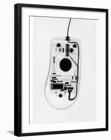 X-Ray of a Computer Mouse-Chris Rogers-Framed Photographic Print