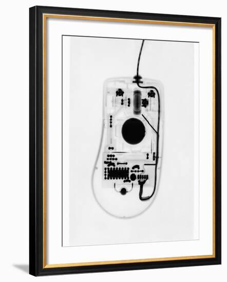 X-Ray of a Computer Mouse-Chris Rogers-Framed Photographic Print