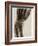 X Ray of a Fractured Wrist C.1890-German School-Framed Giclee Print