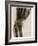 X Ray of a Fractured Wrist C.1890-German School-Framed Giclee Print