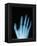 X-Ray of a Hand-Robert Llewellyn-Framed Premier Image Canvas