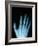 X-Ray of a Hand-Robert Llewellyn-Framed Photographic Print