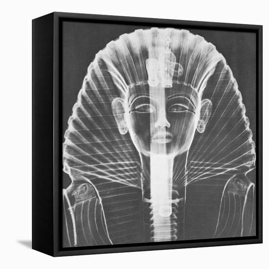 X-ray of an Egyptian Mask-Science Source-Framed Premier Image Canvas