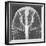 X-ray of an Egyptian Mask-Science Source-Framed Giclee Print