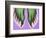 X-ray of Feet-null-Framed Photographic Print