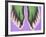 X-ray of Feet-null-Framed Photographic Print