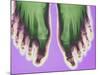 X-ray of Feet-null-Mounted Photographic Print