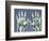 X-ray of Hands-null-Framed Photographic Print