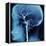X-Ray of Human Head-Robert Llewellyn-Framed Premier Image Canvas