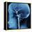 X-Ray of Human Head-Robert Llewellyn-Framed Premier Image Canvas