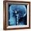 X-Ray of Human Head-Robert Llewellyn-Framed Photographic Print