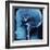 X-Ray of Human Head-Robert Llewellyn-Framed Photographic Print