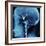 X-Ray of Human Head-Robert Llewellyn-Framed Photographic Print