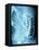 X-Ray of Intestines-Robert Llewellyn-Framed Premier Image Canvas