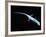 X-Ray of Lizard-Robert Llewellyn-Framed Photographic Print