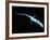 X-Ray of Lizard-Robert Llewellyn-Framed Photographic Print