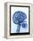 X-ray of skull with gears-Thom Lang-Framed Premier Image Canvas