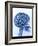 X-ray of skull with gears-Thom Lang-Framed Photographic Print