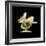 X-Ray of Toy Rooster-null-Framed Photographic Print