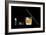 X-ray of Whiskey And Cigar-null-Framed Photographic Print