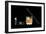 X-ray of Whiskey And Cigar-null-Framed Photographic Print