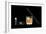 X-ray of Whiskey And Cigar-null-Framed Photographic Print