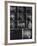 X-Ray Photographs of Person's Skull-null-Framed Photographic Print