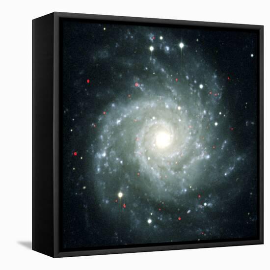 X-ray Sources In M74, Chandra Image-null-Framed Premier Image Canvas