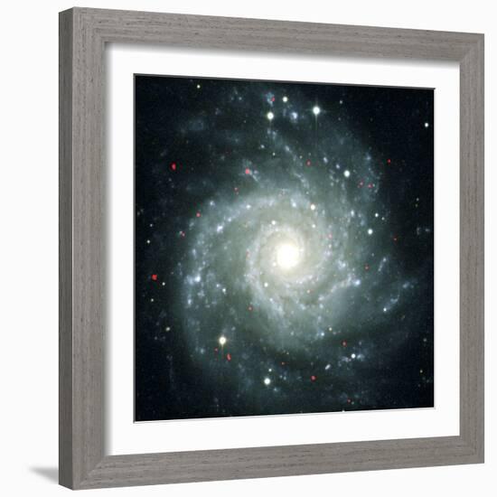 X-ray Sources In M74, Chandra Image-null-Framed Premium Photographic Print