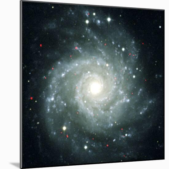 X-ray Sources In M74, Chandra Image-null-Mounted Premium Photographic Print