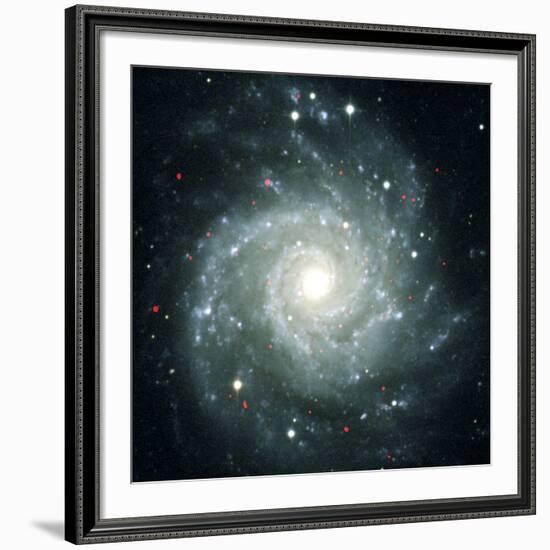 X-ray Sources In M74, Chandra Image-null-Framed Photographic Print