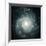 X-ray Sources In M74, Chandra Image-null-Framed Photographic Print