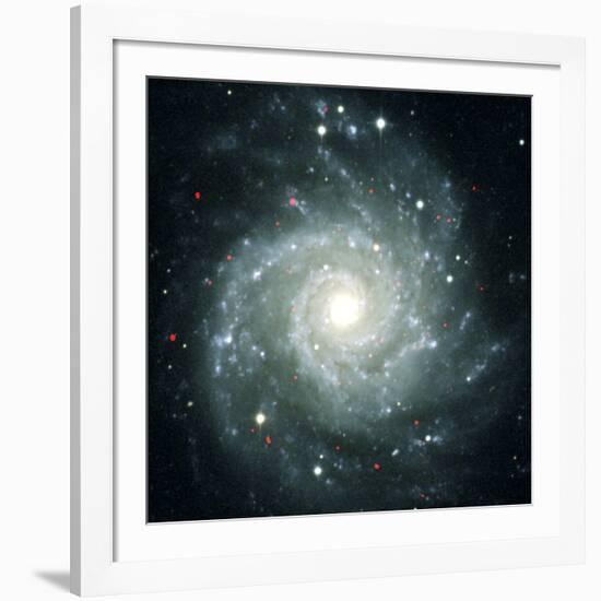 X-ray Sources In M74, Chandra Image-null-Framed Photographic Print