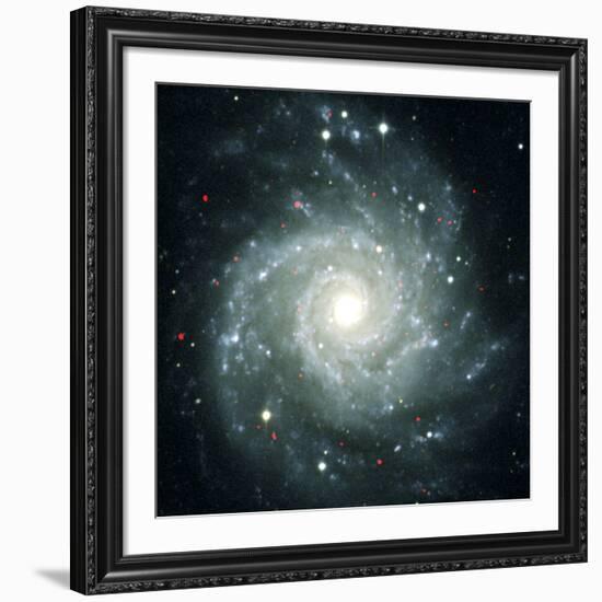 X-ray Sources In M74, Chandra Image-null-Framed Photographic Print