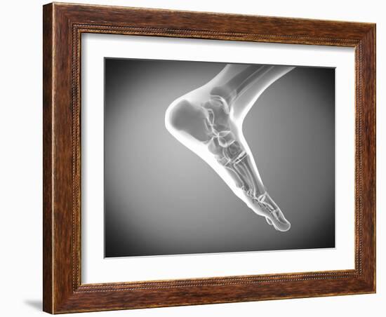 X-ray View of Human Foot-Stocktrek Images-Framed Photographic Print