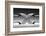 X-Wieteke de Kogel-Framed Photographic Print