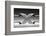 X-Wieteke de Kogel-Framed Photographic Print