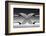 X-Wieteke de Kogel-Framed Photographic Print