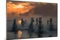 Photographic Print