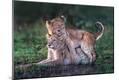 Premium Giclee Print