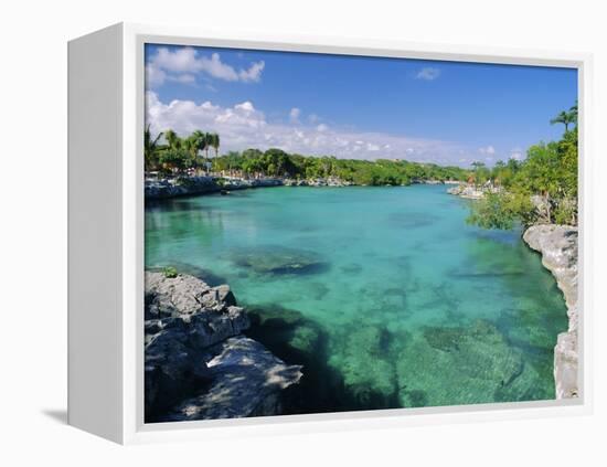 Xel-Ha Lagoon National Park, Yucatan Coast, Mexico, Central America-Gavin Hellier-Framed Premier Image Canvas