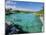 Xel-Ha Lagoon National Park, Yucatan Coast, Mexico, Central America-Gavin Hellier-Mounted Photographic Print