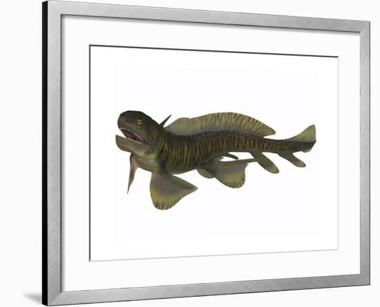 Xenacanthus, a Devonian Freshwater Shark-null-Framed Art Print