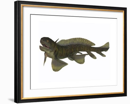 Xenacanthus, a Devonian Freshwater Shark-null-Framed Art Print