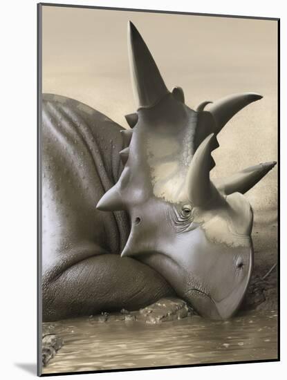Xenoceratops Foremostensis Relaxing in a Mud Puddle-Stocktrek Images-Mounted Art Print