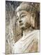 Premium Photographic Print
