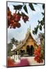 Xieng Thong Monastery, Luang Prabang, Laos, Indochina, Southeast Asia-Jordan Banks-Mounted Photographic Print