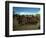 Xingu Dance, Brazil, South America-Claire Leimbach-Framed Photographic Print